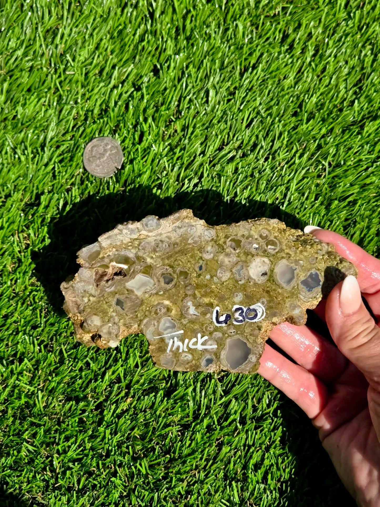 Green Mushroom Rhyolite M630-638
