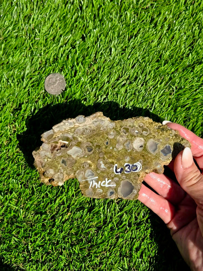 Green Mushroom Rhyolite M630-638