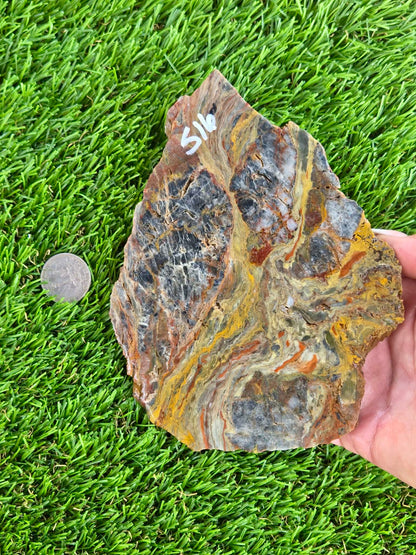 Rainbow Petrified Wood Slabs K516-517
