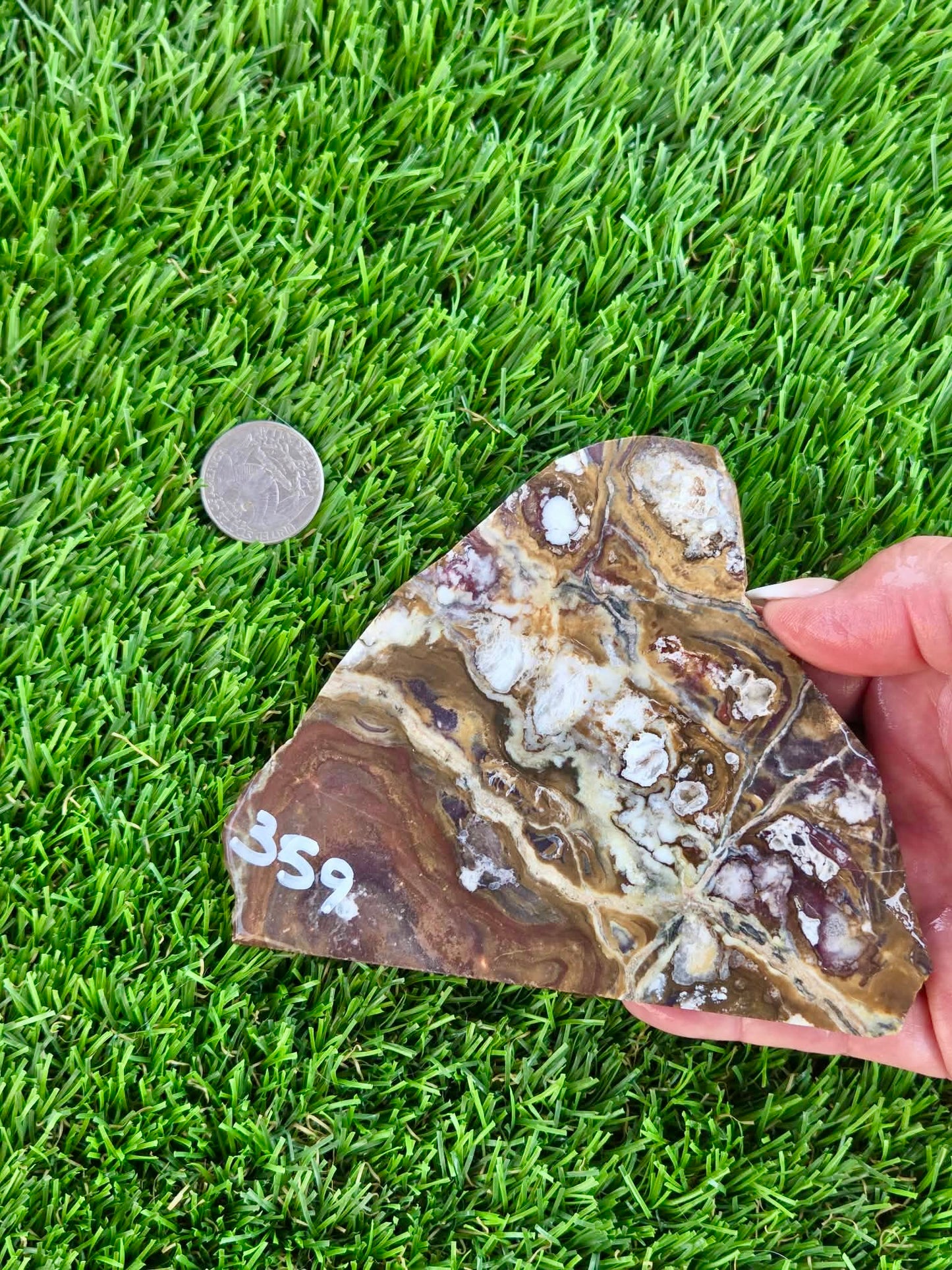 Wild Horse Jasper Slabs G354-359