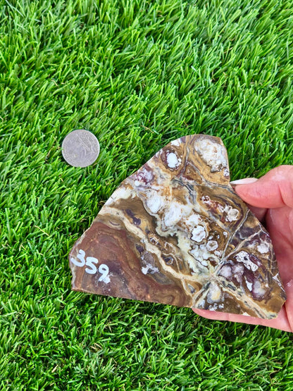 Wild Horse Jasper Slabs G354-359