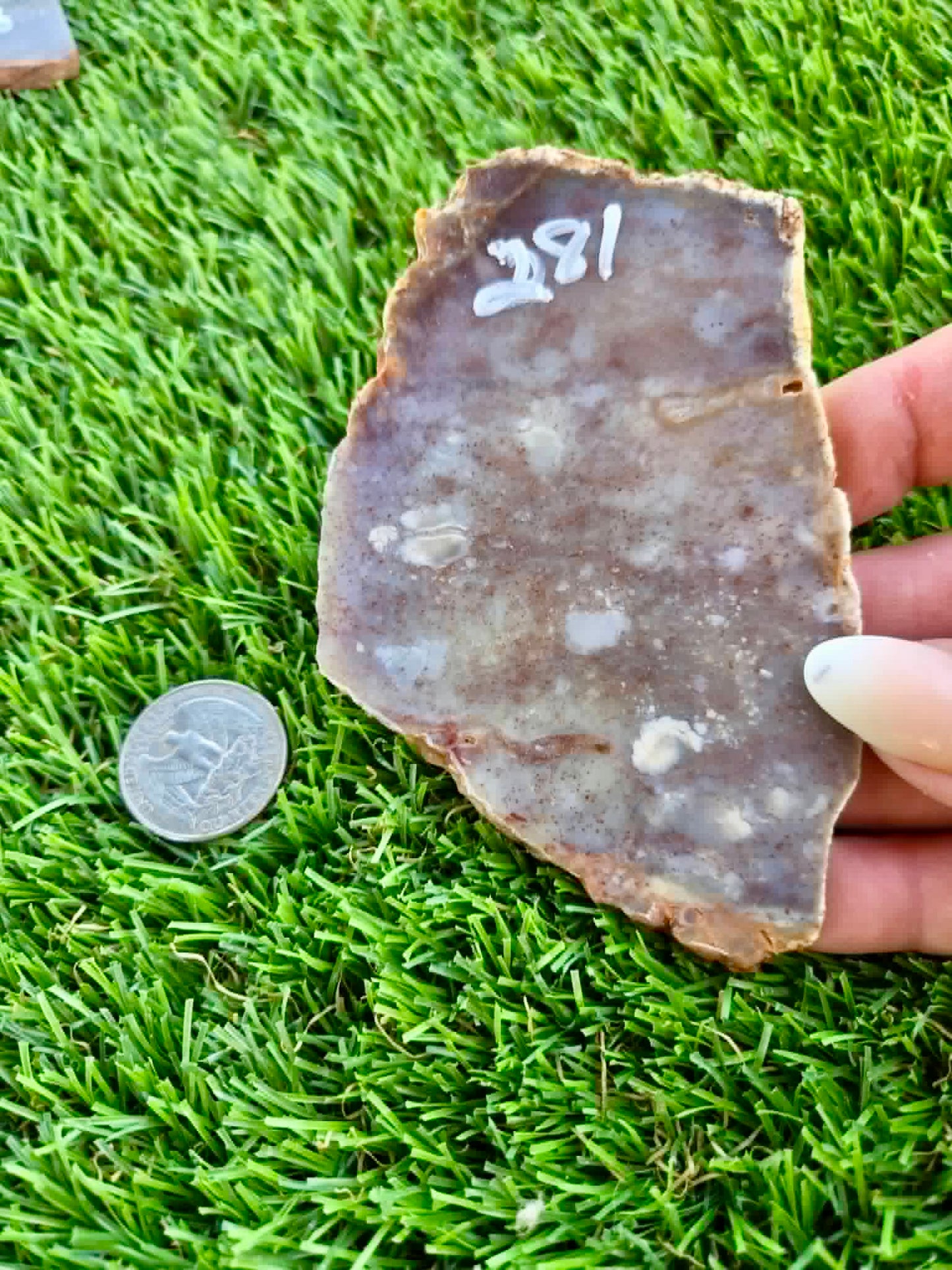 Purple Burro Creek Agate Slab F281-286