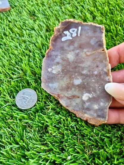 Purple Burro Creek Agate Slab F281-286