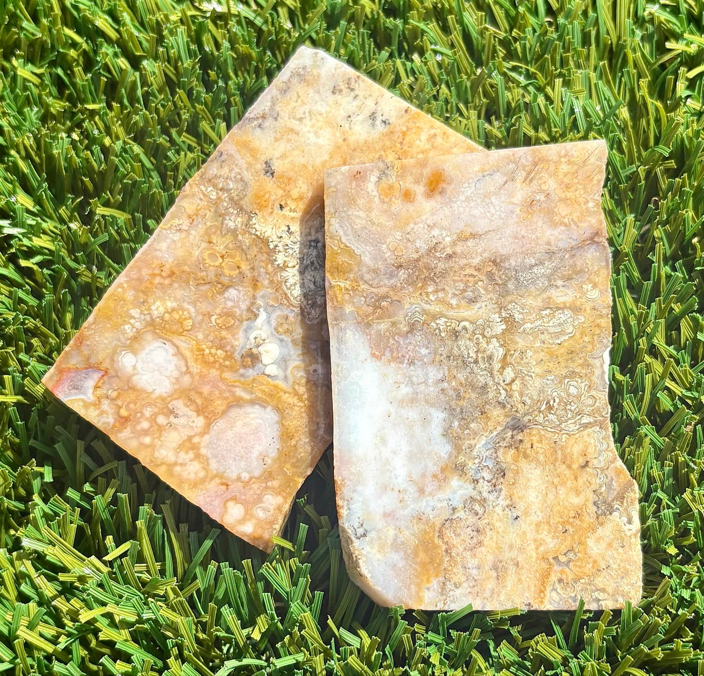 Mexican Crazy Lace with Plume Agate