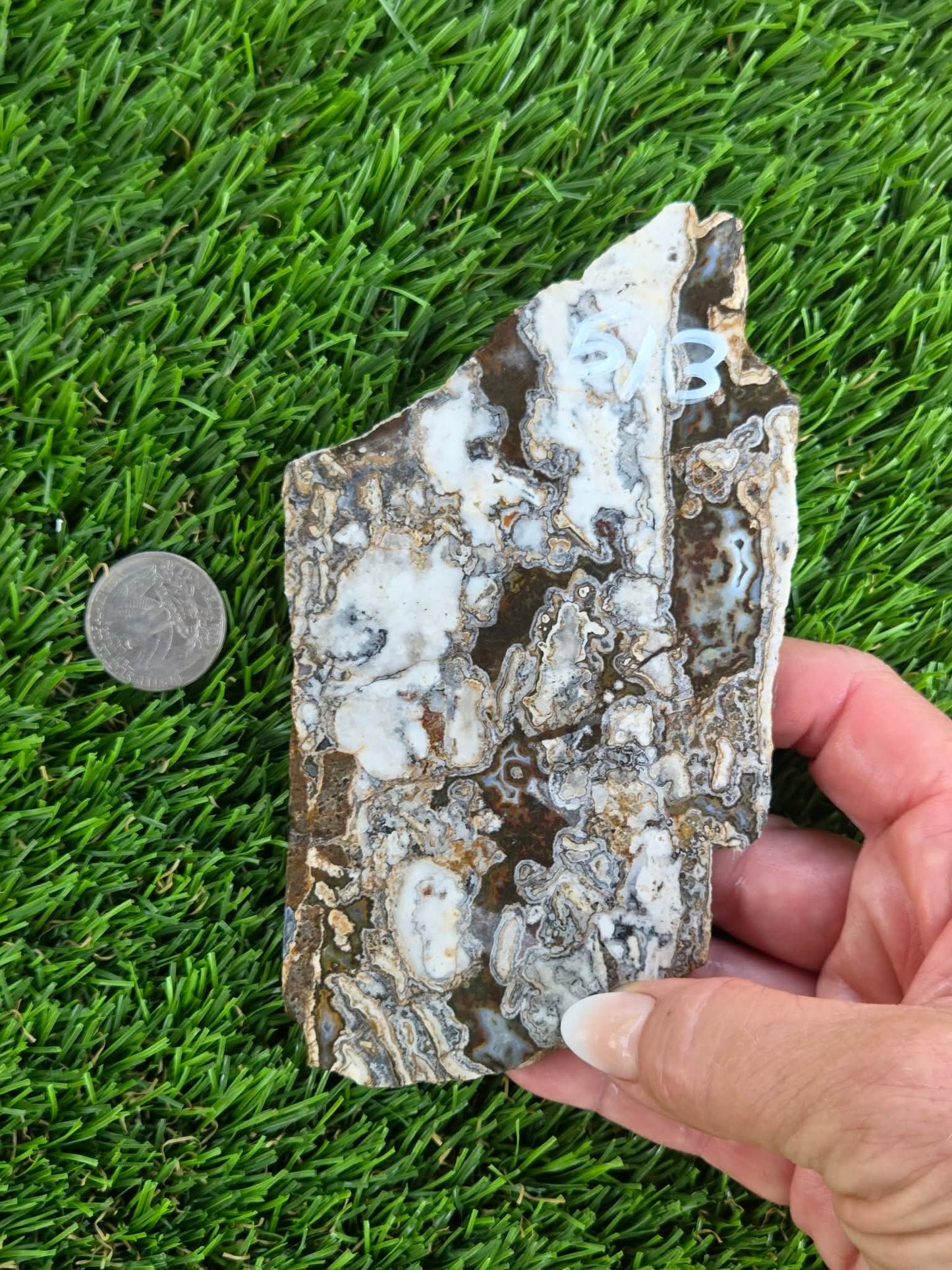 Camp Verde Agate Slabs  K512-515