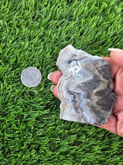Gray Banded Crazy Lace Agate Slabs O717–723