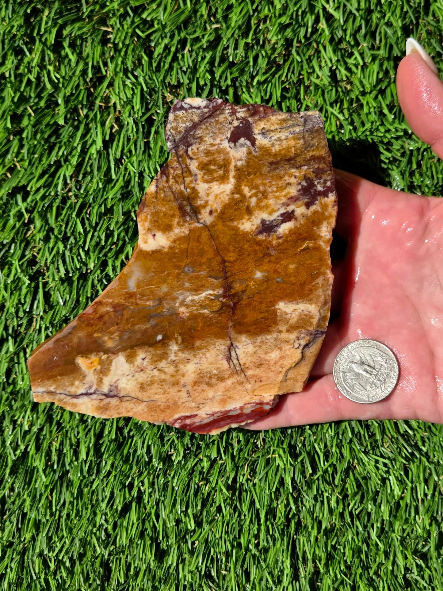 Burro Creek Jasper Slabs R841–847