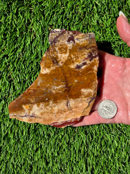 Burro Creek Jasper Slabs R841–847
