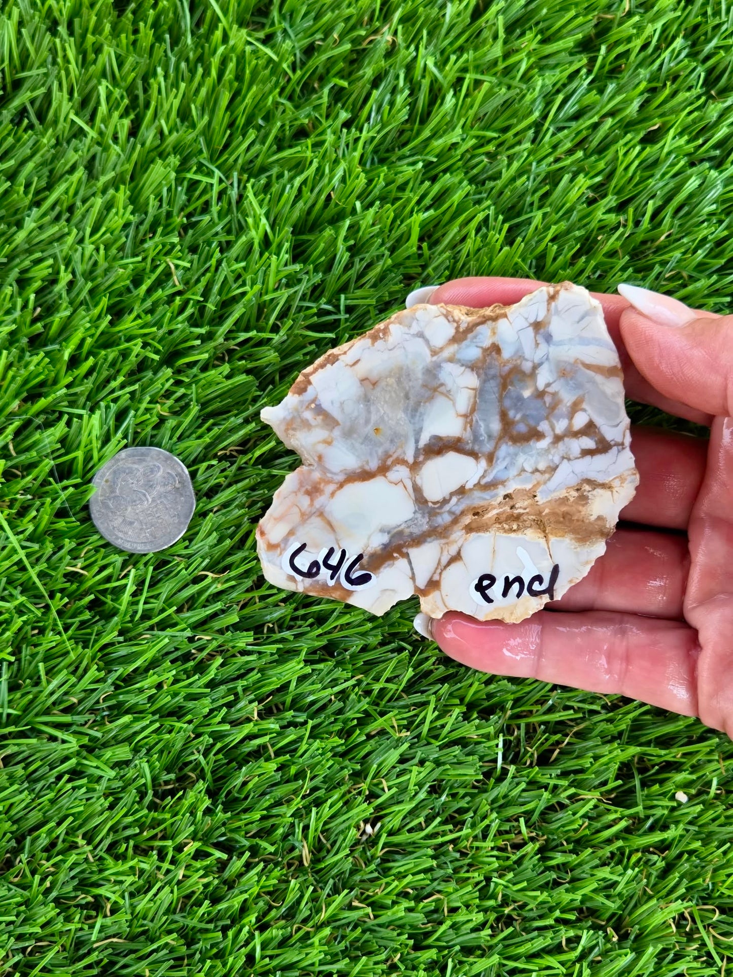 Natural Brecciated Jasper Slabs N645-649