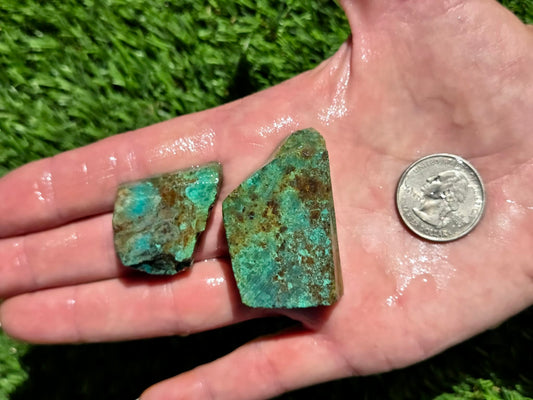 Globe Chrysocolla Slab Bundle-SB6
