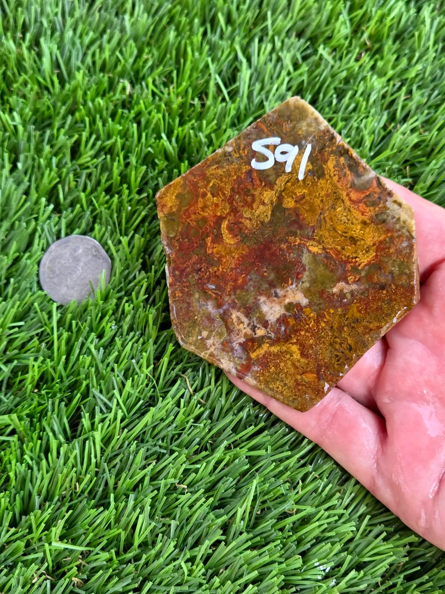 Camp Verde Moss Agate Slabs M591-594