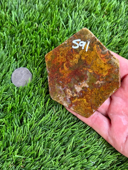 Camp Verde Moss Agate Slabs M591-594