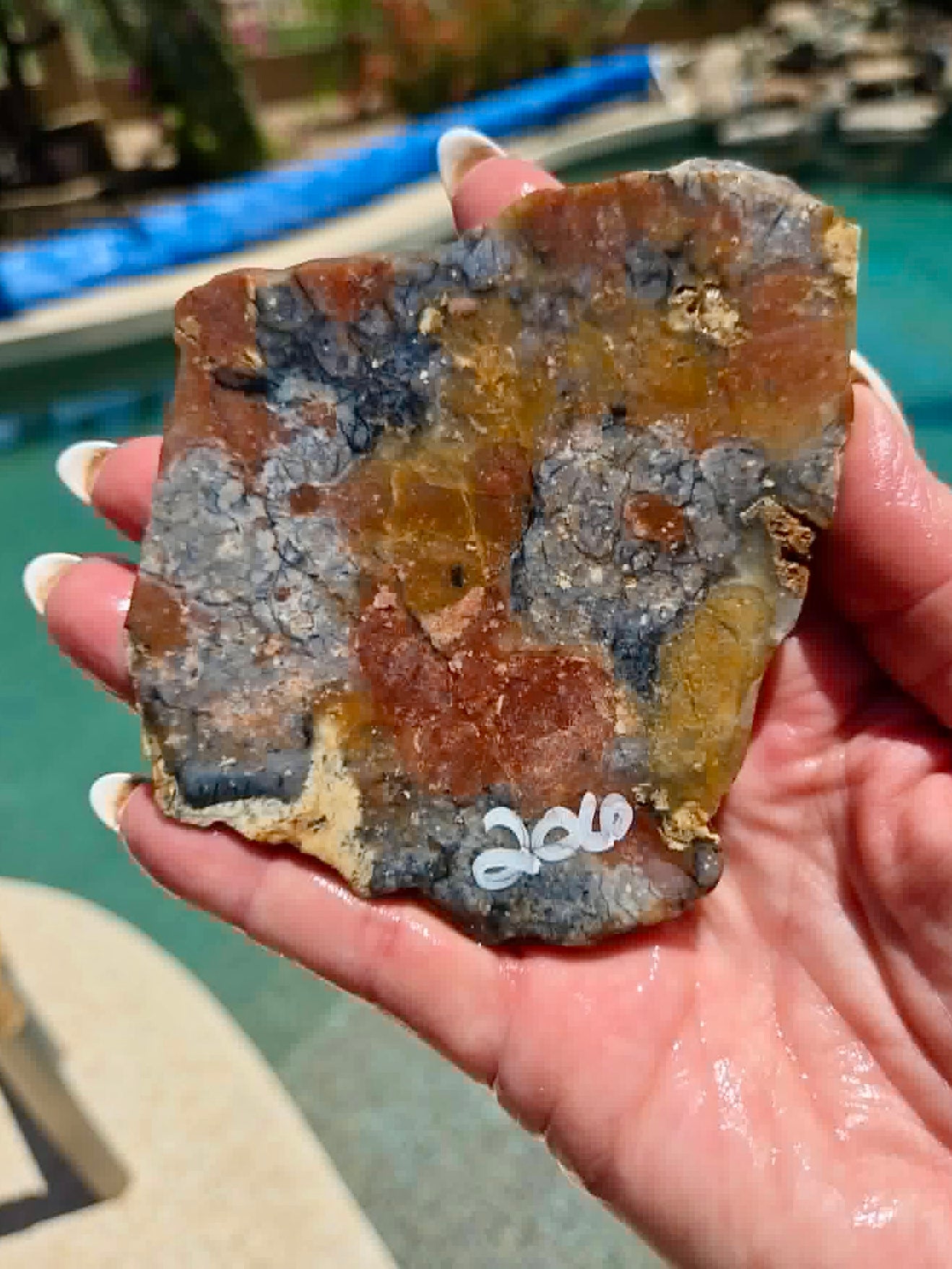 Indonesian Red Marcasite Slab 205-207