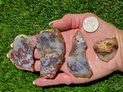 Camp Verde Agate Slab Bundle SB117