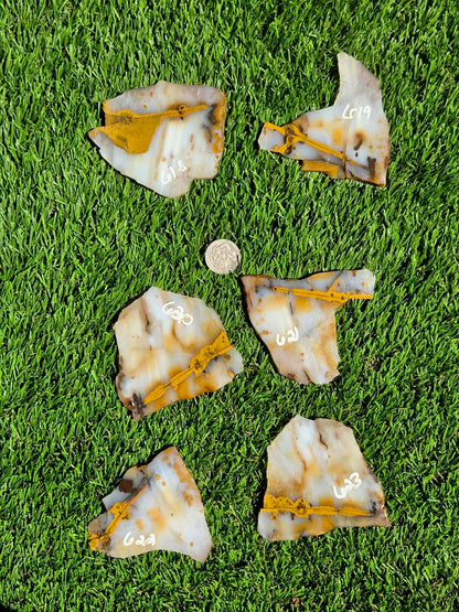 Mascotero Jasper Slabs M618-623
