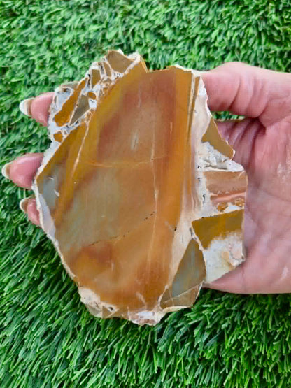 Golden Desert Jasper Slabs H405-408