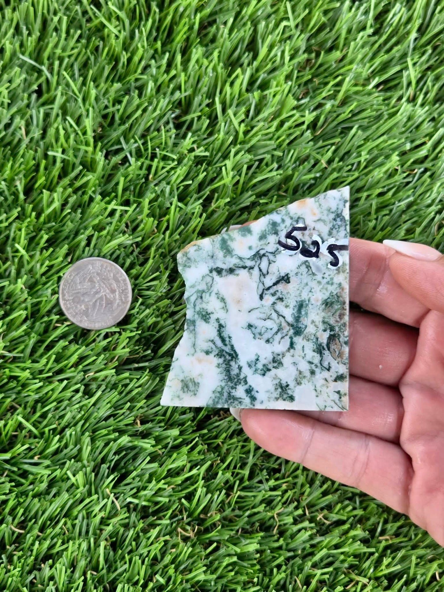 Tree Agate Slabs K523-529