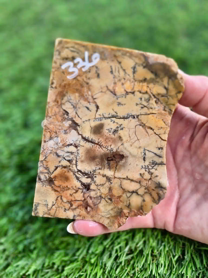 Dendritic Jasper Slabs G335-337