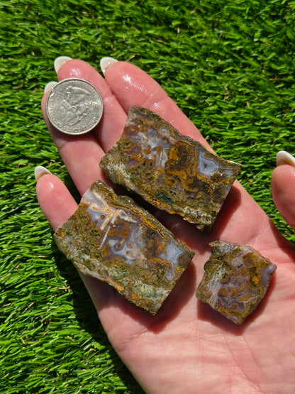 Agate Moss – Camp Verde Slab Bundle SB96