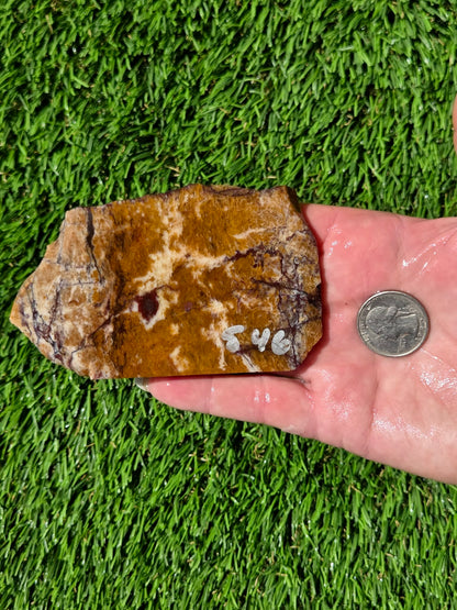 Burro Creek Jasper Slabs R841–847