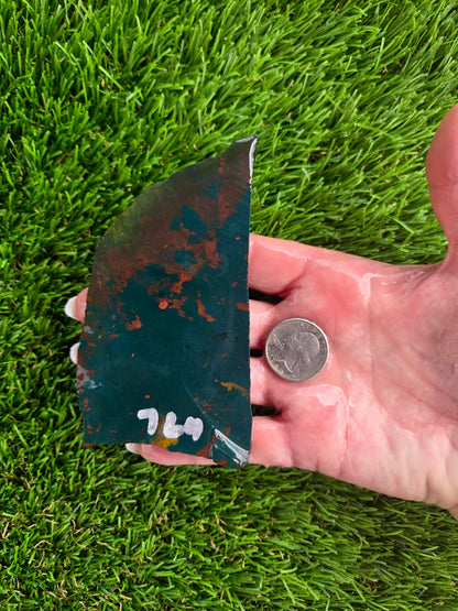 Indonesian Bloodstone Jasper Slabs O762-766