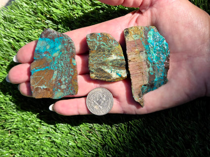 Globe Chrysocolla Slab Bundle-SB53