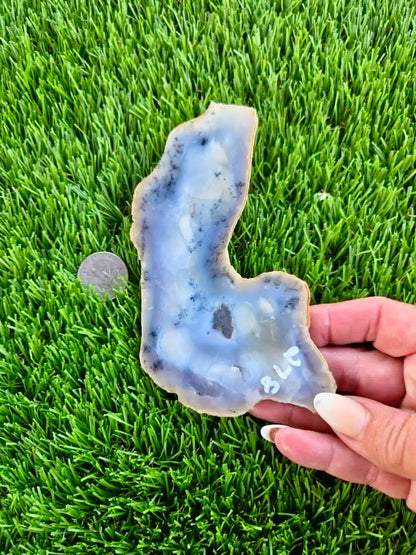 Purple Burro Creek Agate Slab 275-280