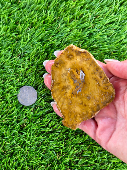 Mustard Picture Jasper Slabs N673-677