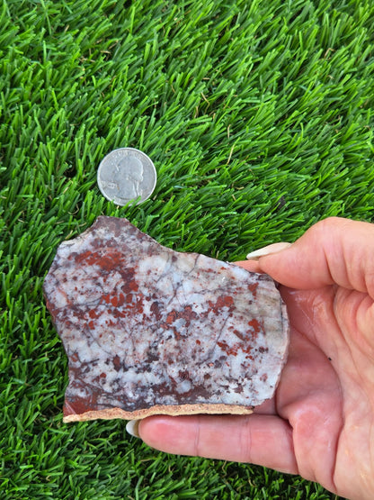 Brecciated Red Jasper with Quartz Slabs O727–730