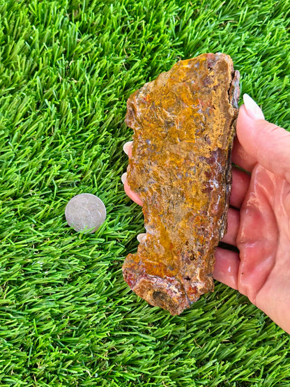 Plume Moss Agate Slabs L553-556