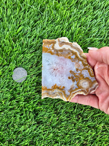 Natural Banded Fortification Agate Slabs N667-668