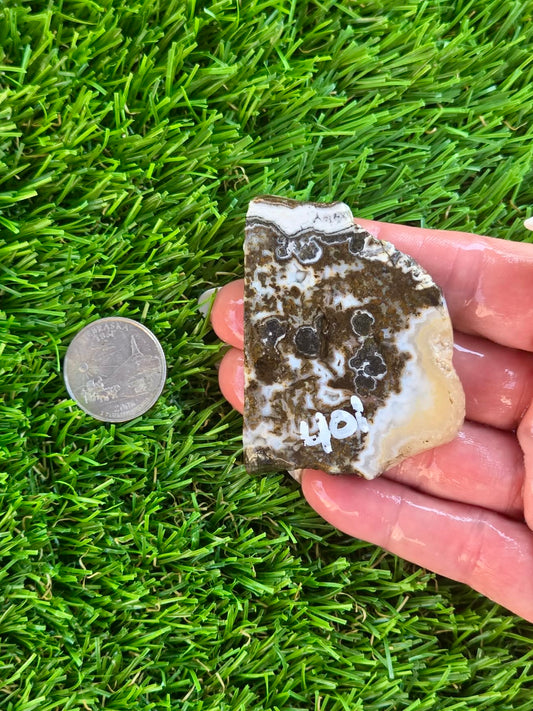 Camp Verde Agate H401-404