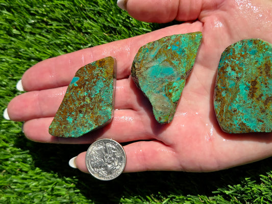 Globe Chrysocolla Slab Bundle-SB43