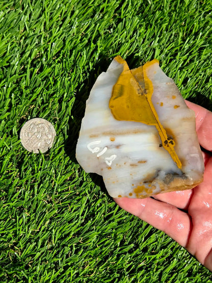 Mascotero Jasper Slabs M618-623