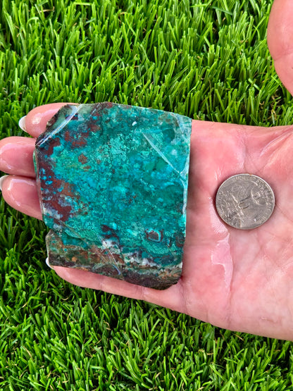 Globe Chrysocolla & Malachite Slabs V991–995