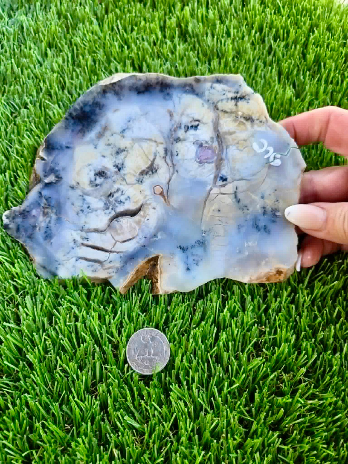 Purple Burro Creek Agate Slab 275-280