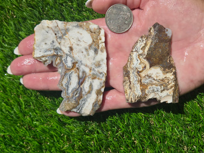 Camp Verde Agate Slab Bundle SB67