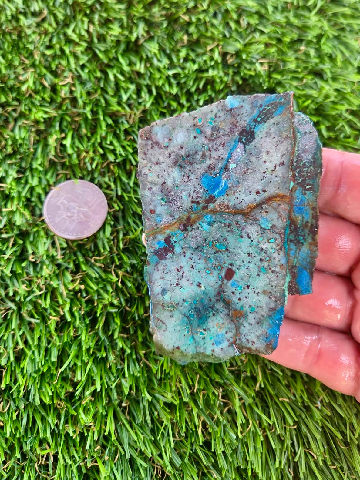 Shattuckite with Azurite & Malachite Slabs B113-119