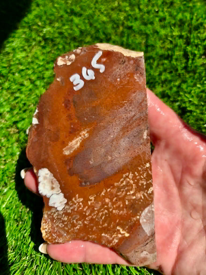 Rustic Red Brecciated Jasper Slabs H363-365