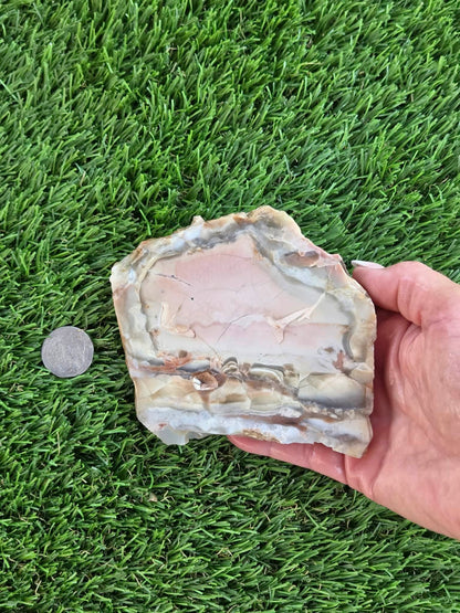 Brecciated Chalcedony Agate – Peach/Pastel Slabs L563-566