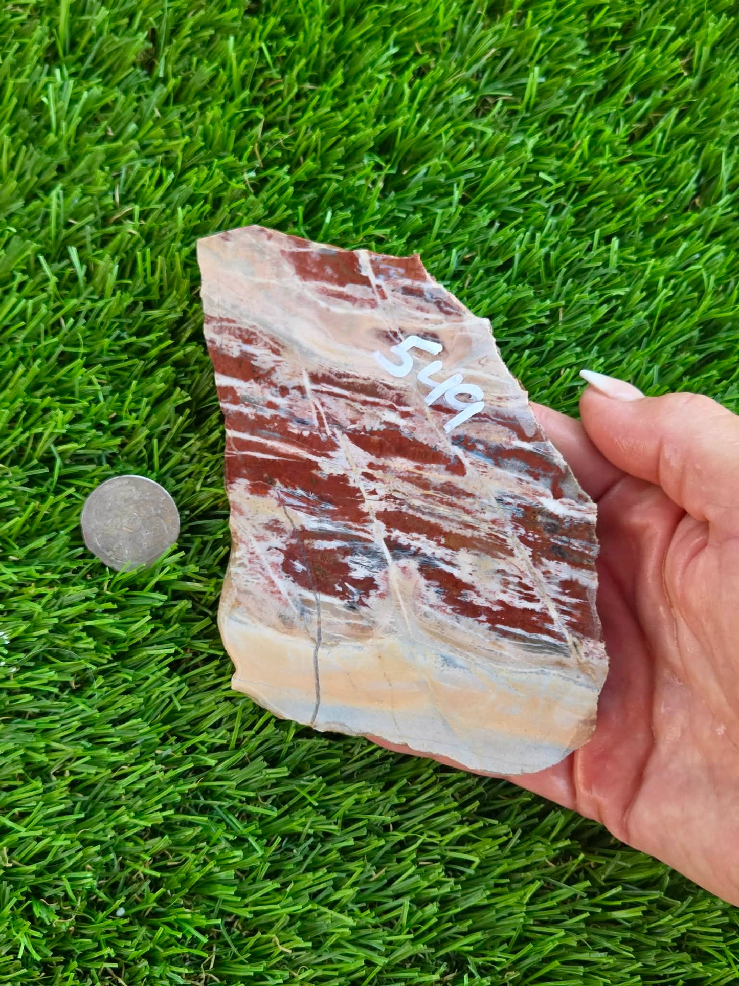 Red Creek Brecciated Jasper Slabs L548-552