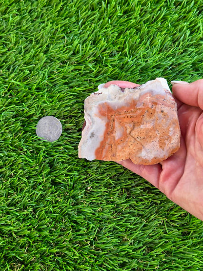 Peach Chalcedony Slabs L571-574