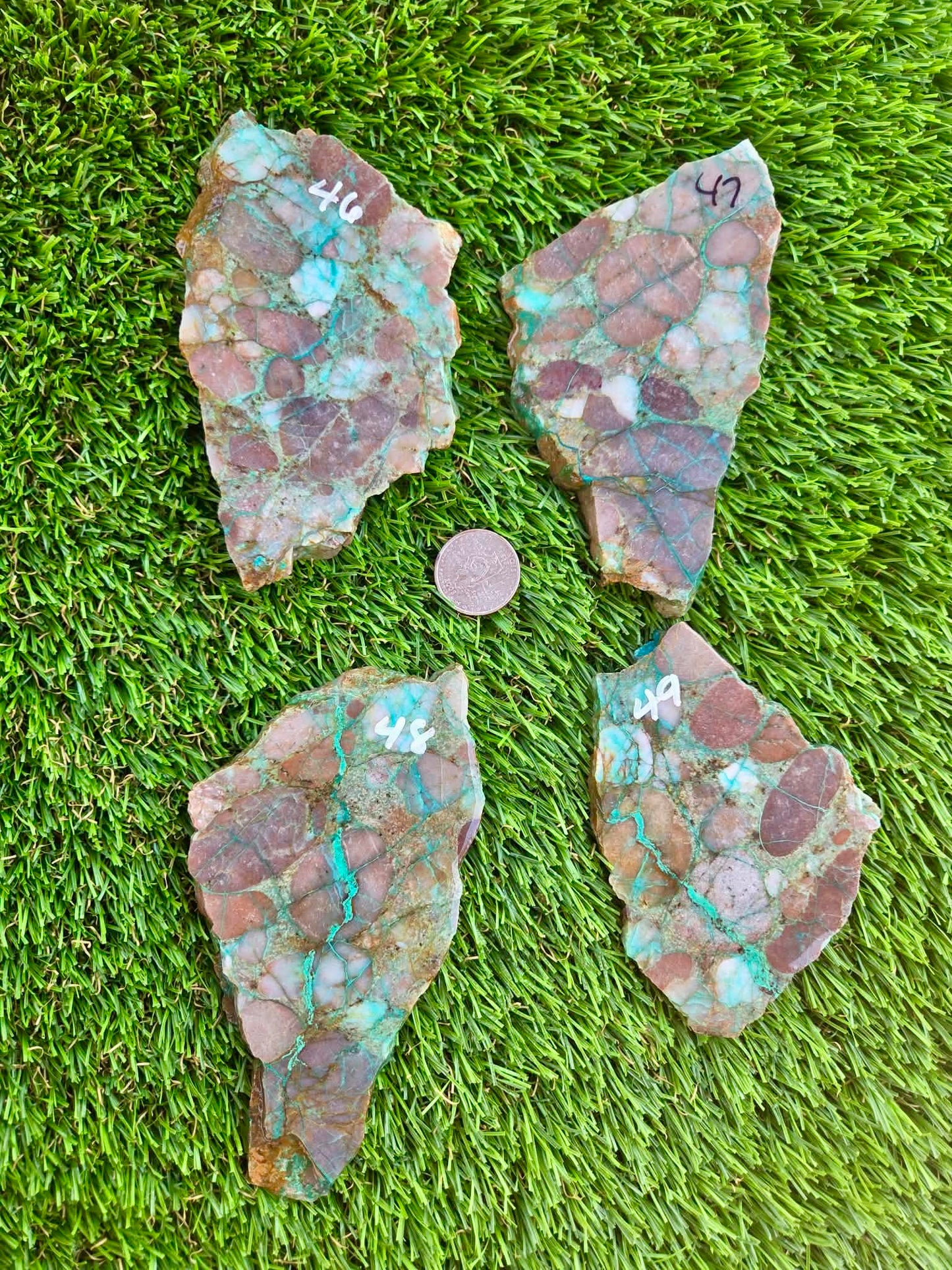 Desert Mosaic Puddingstone with Malachite Slabs A46-49