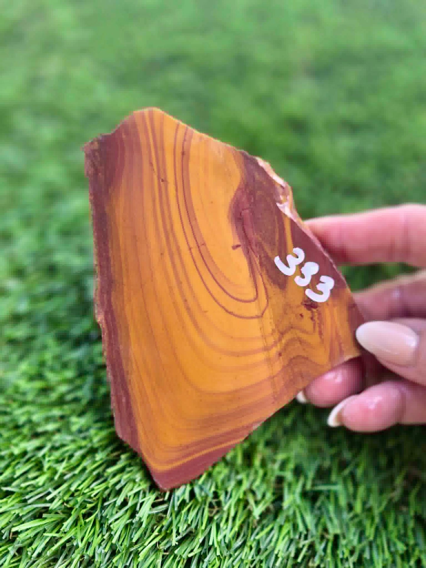 Desert Picture Jasper Slabs G332-334