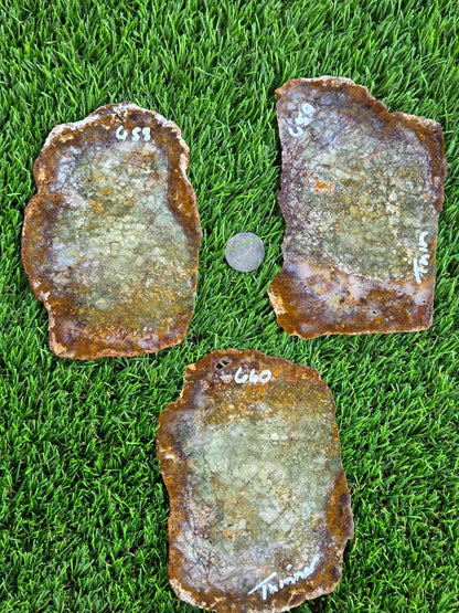 Brecciated Jasper Slabs N658-660