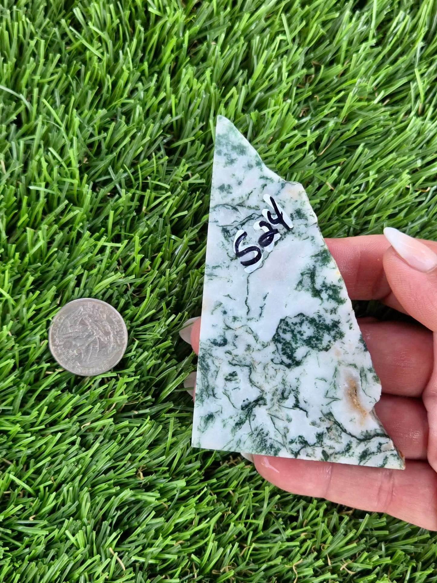 Tree Agate Slabs K523-529