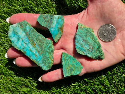 Globe Chrysocolla Slab Bundle-SB130