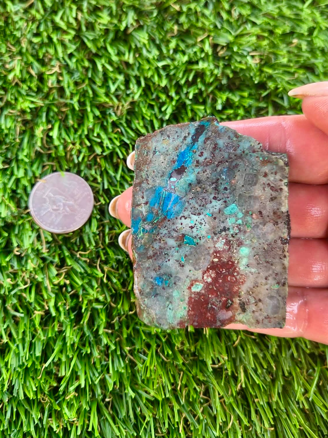 Shattuckite with Azurite & Malachite Slabs B113-119