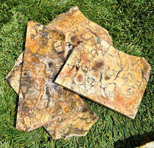 Sonoran Dendritic Jasper