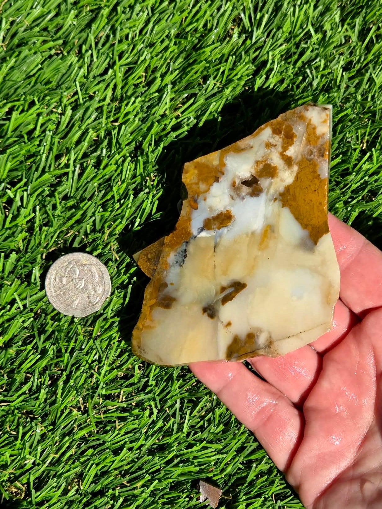 Oregon Polka Dot Jasper Slabs M612-617
